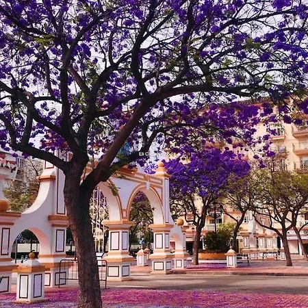 Higueronrentals Wave Appartement *