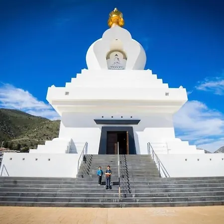 Higueronrentals Wave